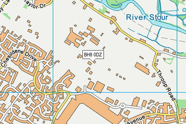 BH8 0DZ map - OS VectorMap District (Ordnance Survey)