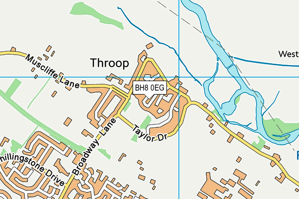 BH8 0EG map - OS VectorMap District (Ordnance Survey)
