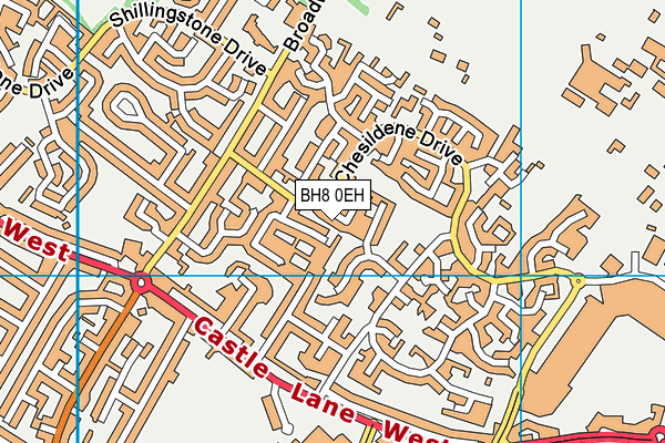 BH8 0EH map - OS VectorMap District (Ordnance Survey)