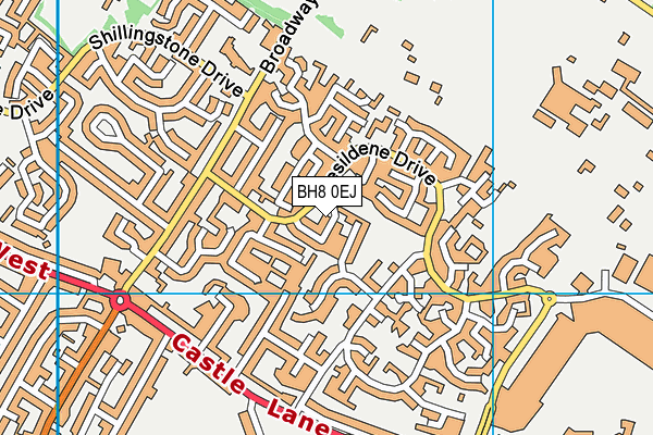 BH8 0EJ map - OS VectorMap District (Ordnance Survey)