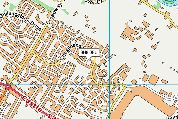 BH8 0EU map - OS VectorMap District (Ordnance Survey)