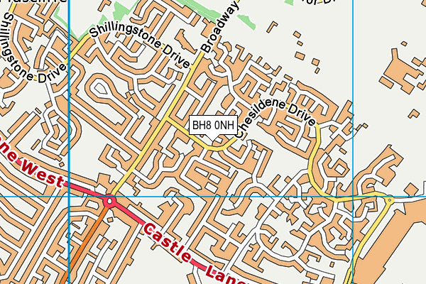 BH8 0NH map - OS VectorMap District (Ordnance Survey)