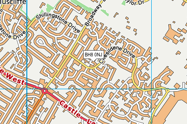 BH8 0NJ map - OS VectorMap District (Ordnance Survey)