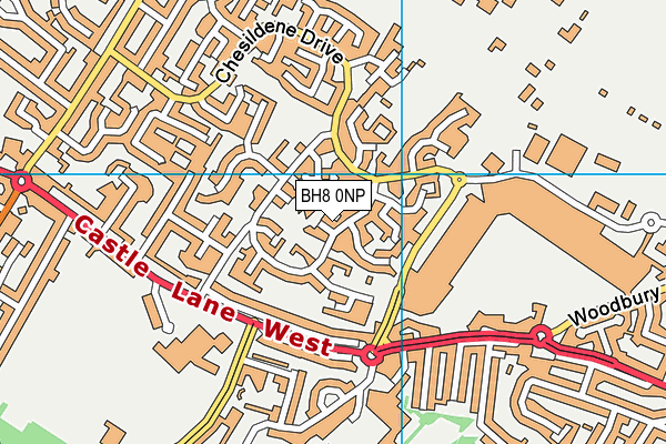 BH8 0NP map - OS VectorMap District (Ordnance Survey)