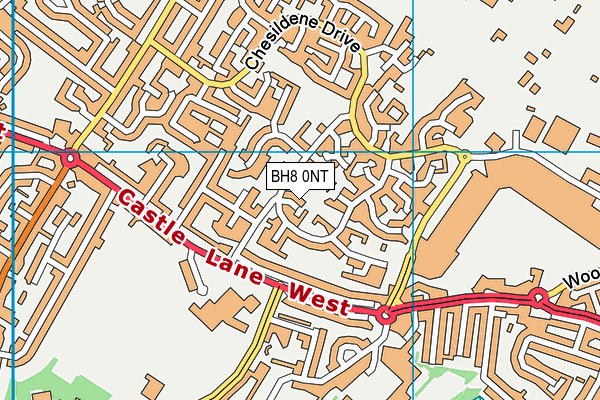 BH8 0NT map - OS VectorMap District (Ordnance Survey)