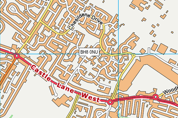 BH8 0NU map - OS VectorMap District (Ordnance Survey)