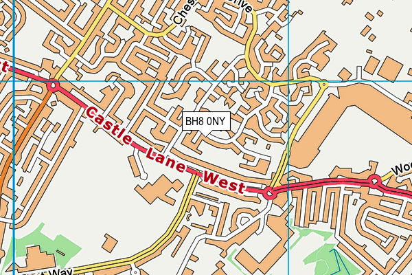 BH8 0NY map - OS VectorMap District (Ordnance Survey)