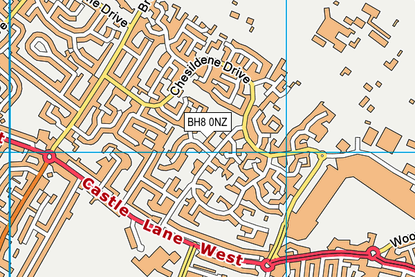 BH8 0NZ map - OS VectorMap District (Ordnance Survey)