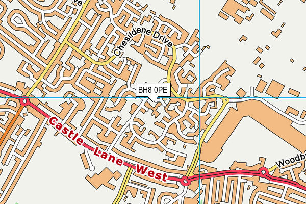 BH8 0PE map - OS VectorMap District (Ordnance Survey)