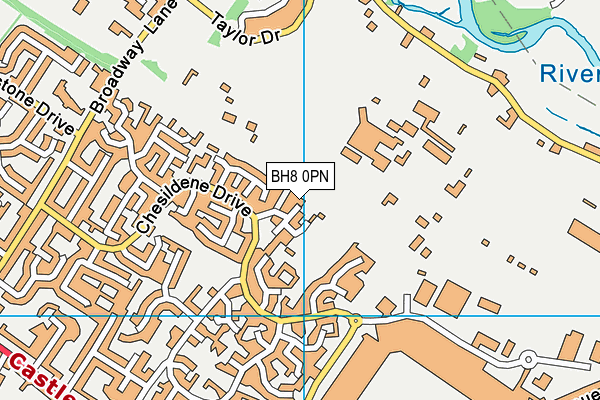 BH8 0PN map - OS VectorMap District (Ordnance Survey)