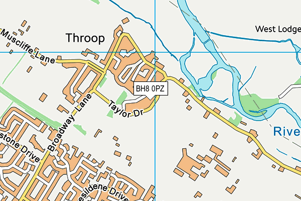 BH8 0PZ map - OS VectorMap District (Ordnance Survey)