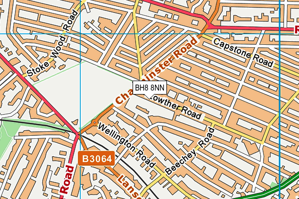BH8 8NN map - OS VectorMap District (Ordnance Survey)