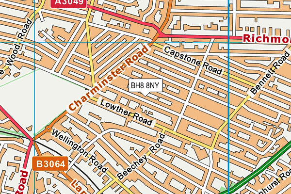 BH8 8NY map - OS VectorMap District (Ordnance Survey)