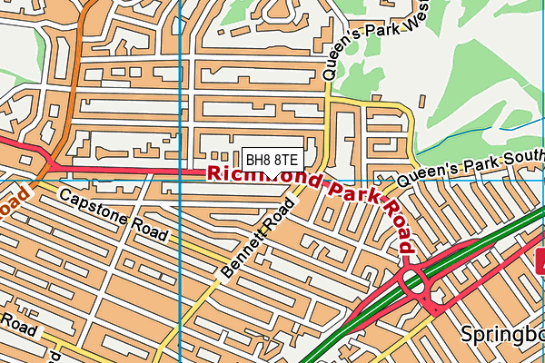 BH8 8TE map - OS VectorMap District (Ordnance Survey)