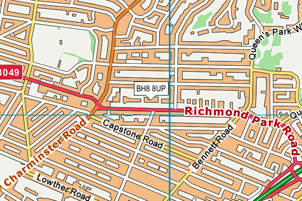 BH8 8UP map - OS VectorMap District (Ordnance Survey)