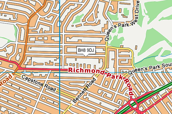 BH8 9DJ map - OS VectorMap District (Ordnance Survey)
