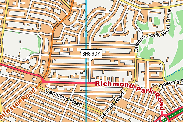 BH8 9DY map - OS VectorMap District (Ordnance Survey)