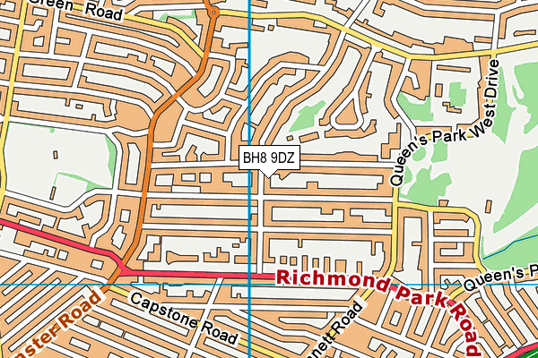BH8 9DZ map - OS VectorMap District (Ordnance Survey)