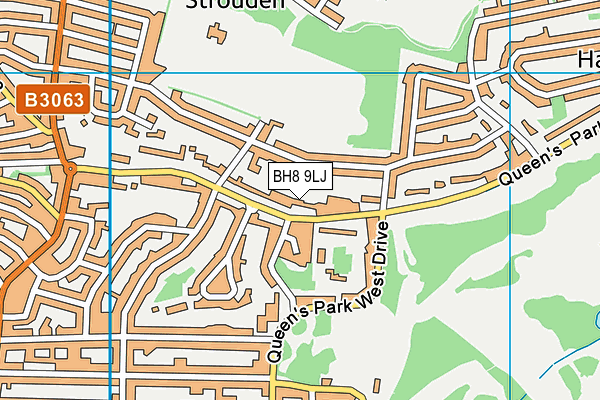 BH8 9LJ map - OS VectorMap District (Ordnance Survey)