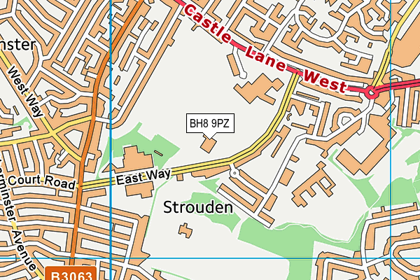 Sir David English Sports Centre map (BH8 9PZ) - OS VectorMap District (Ordnance Survey)