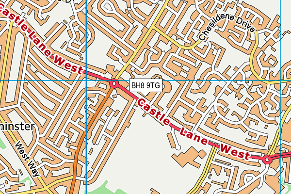 BH8 9TG map - OS VectorMap District (Ordnance Survey)