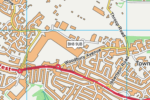 BH8 9UB map - OS VectorMap District (Ordnance Survey)