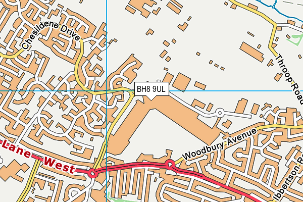 BH8 9UL map - OS VectorMap District (Ordnance Survey)