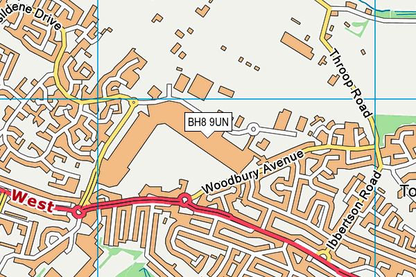 BH8 9UN map - OS VectorMap District (Ordnance Survey)