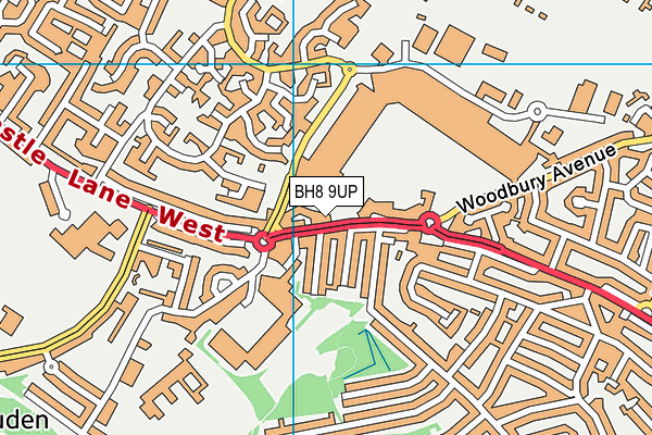 BH8 9UP map - OS VectorMap District (Ordnance Survey)