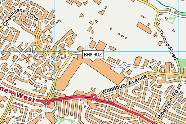 BH8 9UZ map - OS VectorMap District (Ordnance Survey)