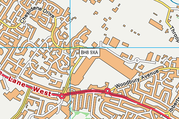BH8 9XA map - OS VectorMap District (Ordnance Survey)