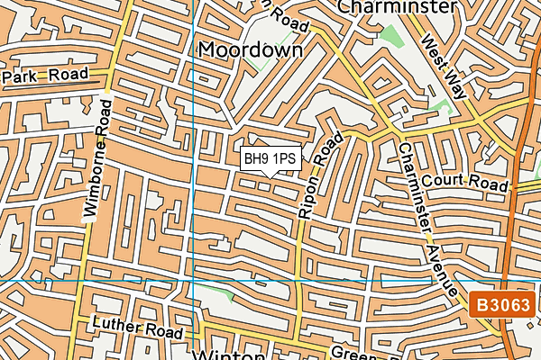 BH9 1PS map - OS VectorMap District (Ordnance Survey)