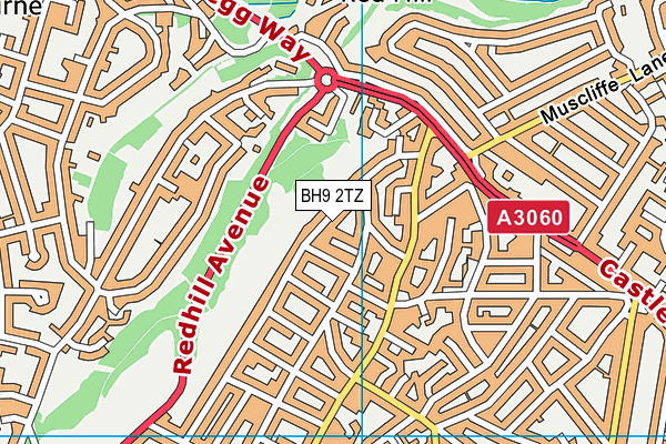 BH9 2TZ map - OS VectorMap District (Ordnance Survey)