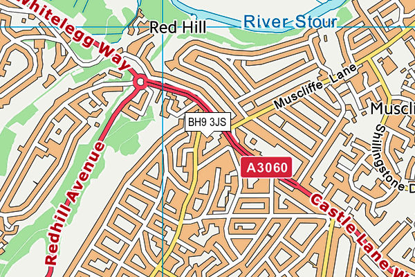 BH9 3JS map - OS VectorMap District (Ordnance Survey)