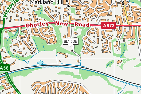 Ladybridge Lane map (BL1 5DE) - OS VectorMap District (Ordnance Survey)