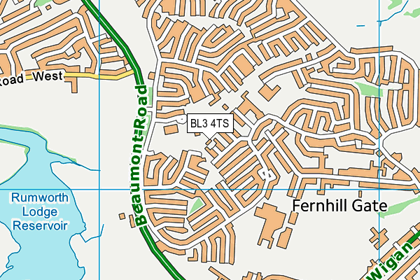 BL3 4TS map - OS VectorMap District (Ordnance Survey)