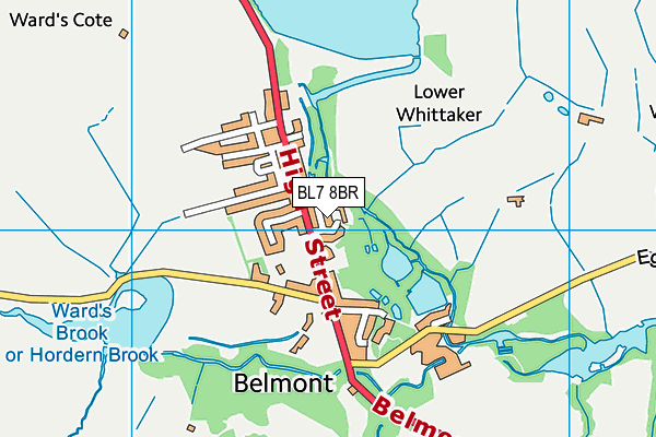 BL7 8BR map - OS VectorMap District (Ordnance Survey)