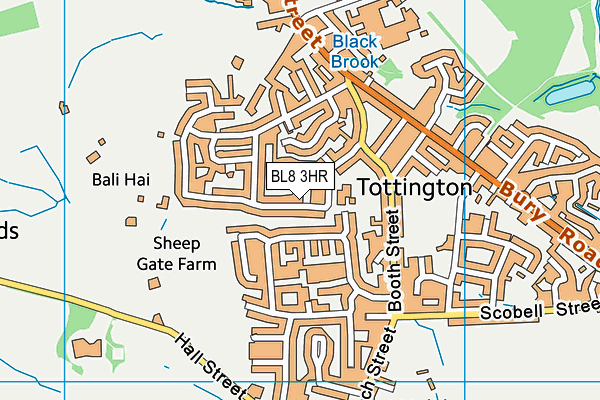 Tottington Primary School map (BL8 3HR) - OS VectorMap District (Ordnance Survey)