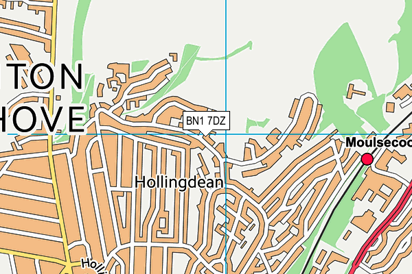 BN1 7DZ map - OS VectorMap District (Ordnance Survey)