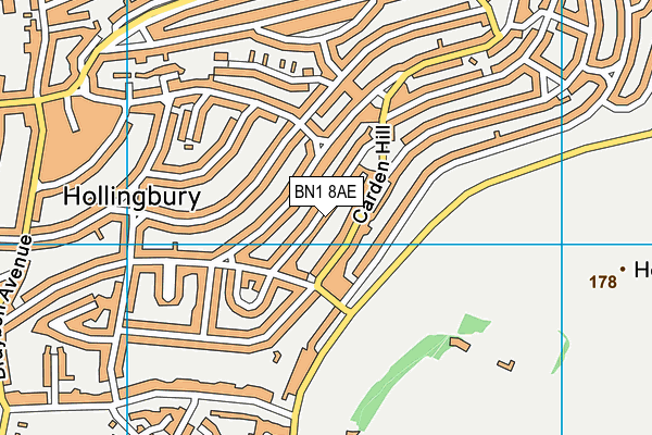 BN1 8AE map - OS VectorMap District (Ordnance Survey)