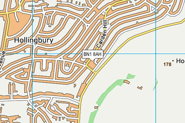 BN1 8AH map - OS VectorMap District (Ordnance Survey)