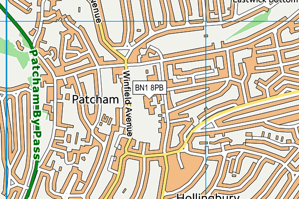 Patcham High School map (BN1 8PB) - OS VectorMap District (Ordnance Survey)
