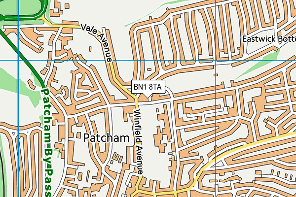 Patcham Junior School map (BN1 8TA) - OS VectorMap District (Ordnance Survey)