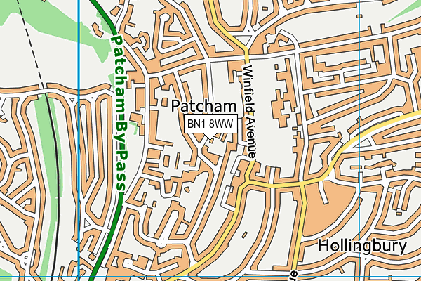 Patcham Infant School map (BN1 8WW) - OS VectorMap District (Ordnance Survey)