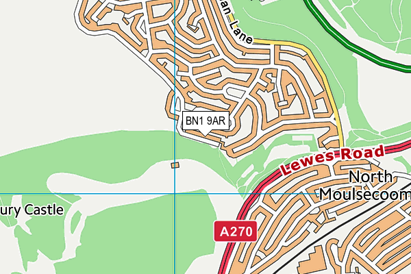 BN1 9AR map - OS VectorMap District (Ordnance Survey)