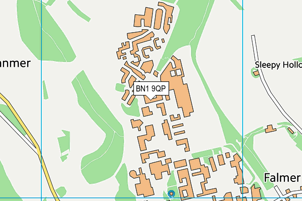 BN1 9QP map - OS VectorMap District (Ordnance Survey)
