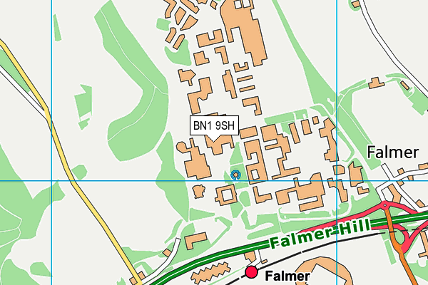 BN1 9SH map - OS VectorMap District (Ordnance Survey)