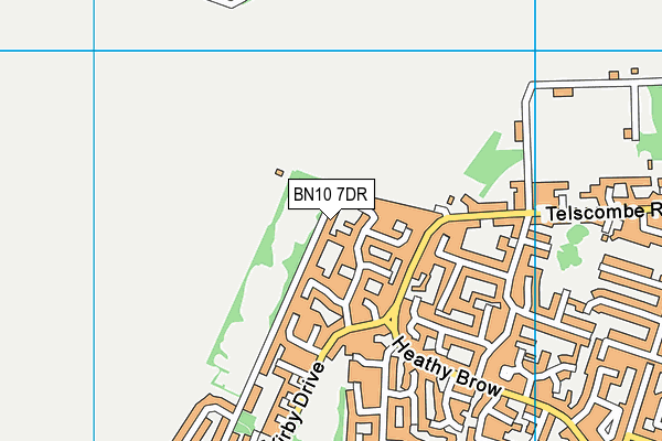 BN10 7DR map - OS VectorMap District (Ordnance Survey)