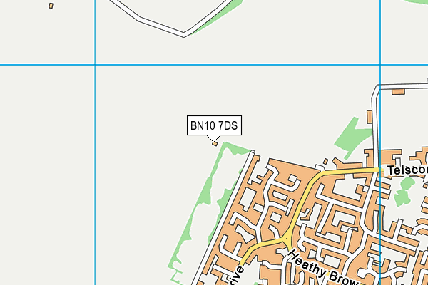 BN10 7DS map - OS VectorMap District (Ordnance Survey)