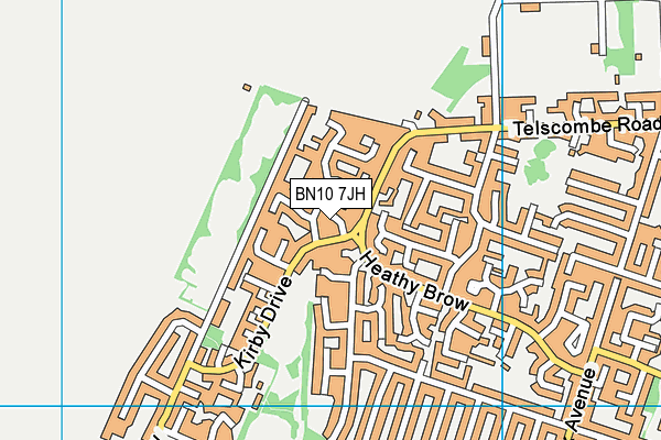 BN10 7JH map - OS VectorMap District (Ordnance Survey)